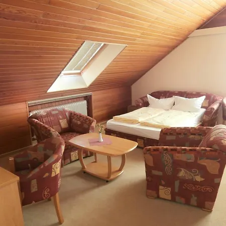 Hasselbarth Hotel 3*