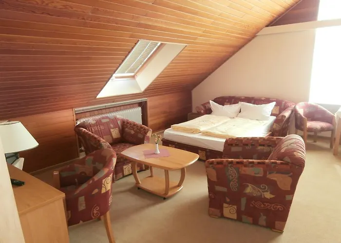 Hasselbarth 酒店 3*